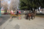 IMG 5343