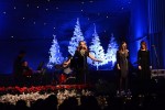 FOTOGALERIJA: Humanitarni koncert Marije Husar i gostiju za obitelj Car iz Velike Črešnjevice 5 husar3