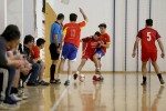 IMG 5242