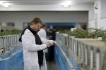 Zamjenik župana Marijo Klement, otvorio je 43. “Izložbu malih životinja” koja je otvorena do nedjelje kada se očekuje dolazak oko 2.000 posjetitelja 46 IMG 6630