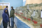 Zamjenik župana Marijo Klement, otvorio je 43. “Izložbu malih životinja” koja je otvorena do nedjelje kada se očekuje dolazak oko 2.000 posjetitelja 31 IMG 6776