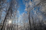 IMG 7182