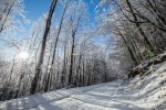IMG 7187