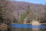IMG 7268