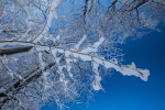 IMG 7358