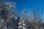 IMG 73851