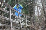 Bolje razumijevanje ugroženosti vrsta i staništa: Zimsko prebrojavanje ptica močvarica (IWC) 2 IMG 7743