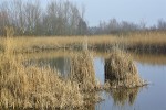 IMG 7759 1