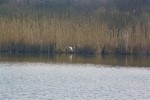 IMG 7769 1