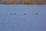IMG 7773 1