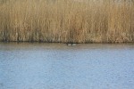 IMG 7780 1