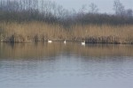 IMG 7794 1