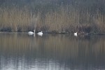 IMG 7799 1