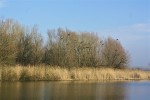 IMG 7810 1