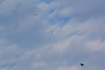 IMG 7819 1