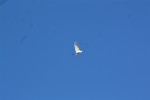 IMG 7821 1