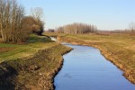 IMG 7829 1