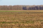 IMG 7839 1
