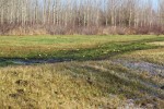 IMG 7857 1