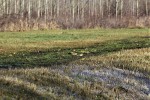 IMG 7858 2
