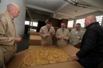 IMG 7891