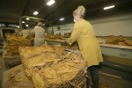 IMG 7901