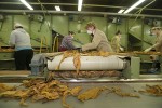 IMG 7947