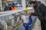 Zamjenik župana Marijo Klement, otvorio je 43. “Izložbu malih životinja” koja je otvorena do nedjelje kada se očekuje dolazak oko 2.000 posjetitelja 15 izlozba zivotinja 2018 35