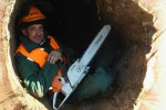 Šok i nevjerica u virovitičkom Gradskom parku: U unutrašnjost naizgled zdrave platane stane čovjek od dva metra 2 IMG 34e246c0e0124691ccacd58b740eff4f V