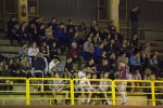 Fotogalerija: Međunarodni turnir u Virovitici osvojili mladi rukometaši Dugog Sela, mlađi kadeti Viro Virovitice peti 2 a 12