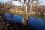 Međunarodni dan močvarnih staništa se obilježava 2. veljače pod sloganom “Vlažna staništa za održivu budućnost urbanih područja” 3 slika 1