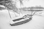IMG 4713