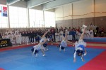 IMG 7099