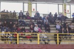karatefest 2018 26