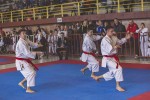 karatefest 2018 42