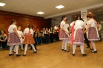 madjari 14
