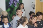 IMG 9861