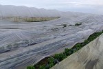 Olujno nevrijeme na OPG-u Čajkulić led “pobralo” je paprike i tikvice za 100.000,00 kuna 1 33216406 10211379599119854 5004407945253879808 n