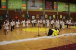 IMG 4819