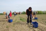 alen smi1