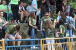 Fotogalerija: „Srednja škola by, by“ - Pogledajte kako je bilo na „Norijadama“ u Virovitici, Slatini i Orahovici gdje su mnogobrojni maturanata obilježili kraj jednog razdoblja 124 tri 26
