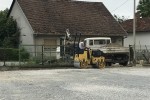 IMG 6656