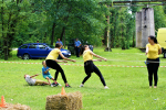 IMG 4183