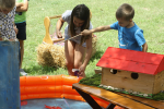 IMG 4199