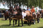 cadjavica hladno 15