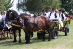 cadjavica hladno 16