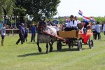 cadjavica hladno 71