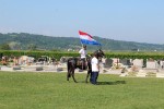 IMG 4549