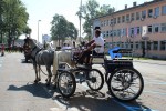 IMG 4582