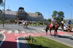 IMG 4584